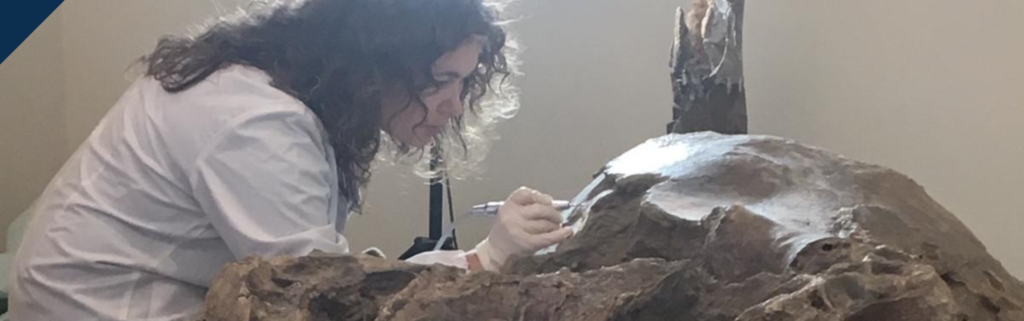 La restauratrice Antonella Aquiloni alle prese con la parte finale del restauro sul cranio di Mammuthus meridionalis trovato nel 2016 in località Tasso nel Comune di Terranuova Bracciolini