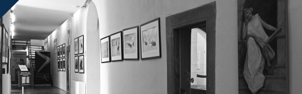 Corridoio vuoto del Museo che dalla sezione archeologica porta alla scala che conduce al secondo piano. In evidenza si vedono le fotografie di Valter Bernardeschi appese alla parete e una delle allegorie